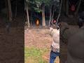 Color Transition #shootingrange #fyp #foryou #airsoft