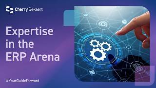 Expertise in the ERP Arena