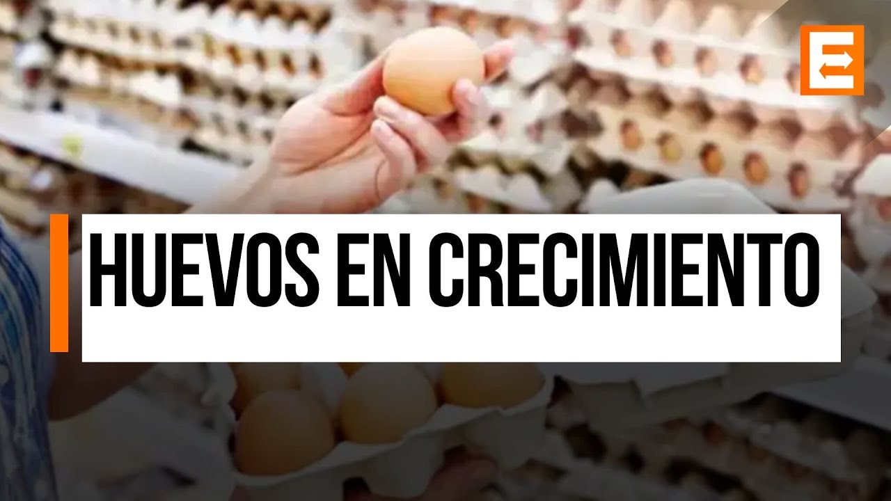 Javier Prida sobre el crecimiento de la producción de huevos