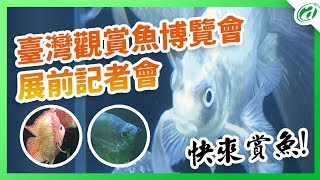 台灣觀賞魚博覽會展前記者會