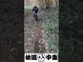 煽り運転の末路 #As a result of provocative driving