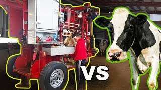 TRANSFORMERS MACHINE vs HOLSTEIN COW! Appleton Steel Chute | The Hoof GP