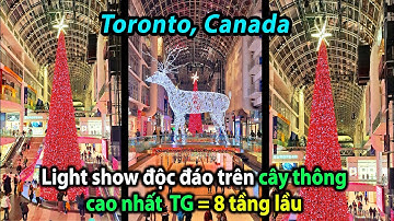 Rực rỡ màn trình diễn Ánh Sáng trên cây thông cao nhất thế gian 114 Ft = 34.7472 m = 9 tầng lầu.