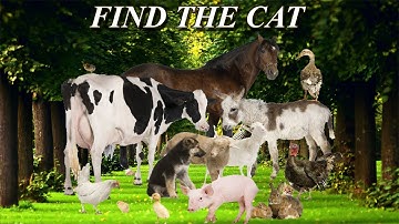 Find The Hidden Animal | Find The Different Emoji | Find The Number | Missing Circle | Multiple Game