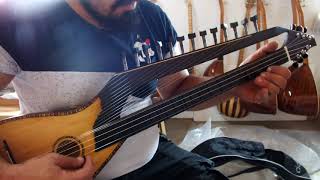 CURABAB MUSICAL INSTRUMENT LUTE WITH SYMPATHETIC STRINGS AND BAG