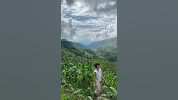 มุมลับของใครหลายคน⛰️🌿 #travel #nature #น่านหน้าฝน #น่านไง#น่านเนิบเนิบ#roadtrip