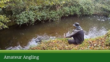 Small river float fishing for chub