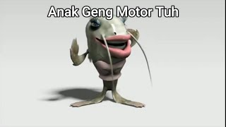 Kompilasi Meme Ikan Lele Bertanya