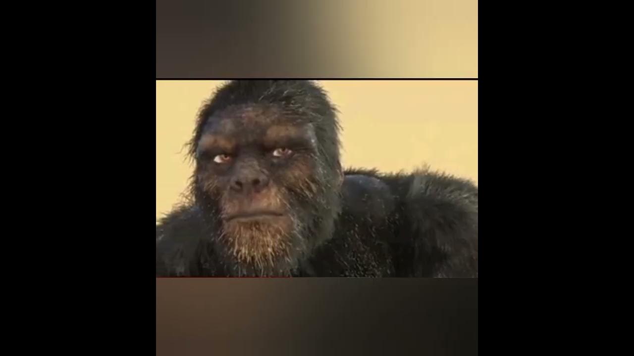 Big Foot (TshweneMotho) YouTube