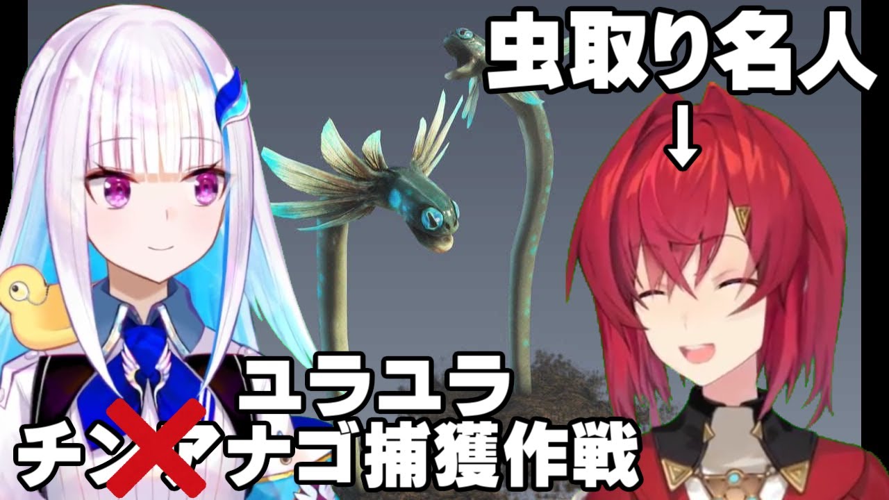 【リゼアン】リゼ様はチンアナゴが欲しい