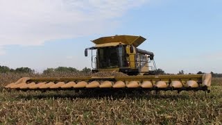 Caterpillar Lexion 570R Combine with a C516 16 Row Corn Head