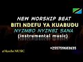 BITI NDEFU YA KUABUDU - NYIMBO NYINGI SANA || New Worship Beat  255759683635