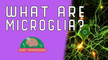 What Are Microglia?