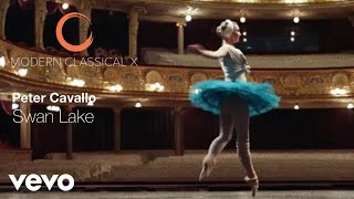 Vignette de la vidéo "Peter Cavallo - Swan Lake (Official Music Video)"