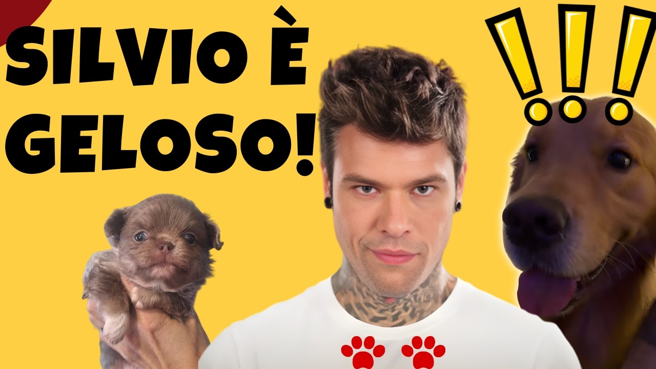 Fedez ha un nuovo cagnolino e Silvio è geloso 🐾
