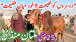 Today Multan Cow Mandi 2026 Video | Sahiwal Cholistani Brhaman Bachre | Qurbani 2026 Cows Prices