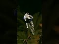Pengen bisa freestyle pake motorcross #mxvsatvsupercross #mxvsatv #ps3games #rentalpsbnt #ps #fyp