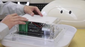 This robot duck could help Japanese rice farmers keep paddy fields clear of weeds