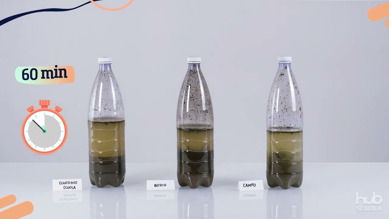 Videolaboratorio - I componenti del suolo