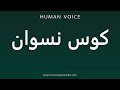 How To Pronounce کوس نسوان 