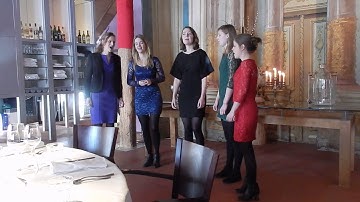 Acapabel in Van Tarel 15 januari 2017