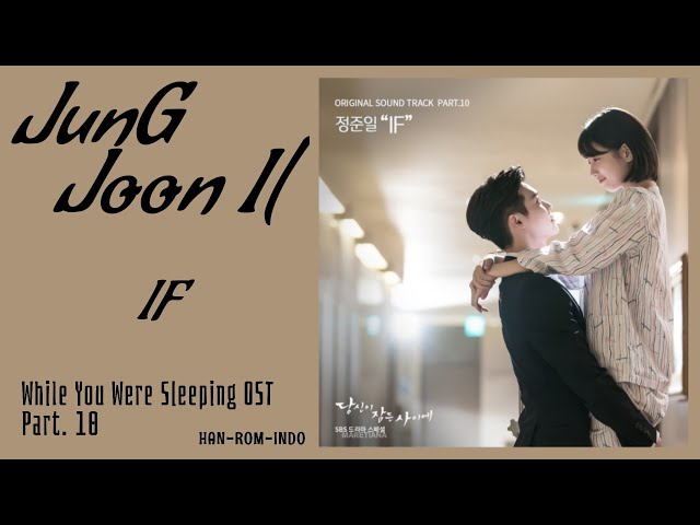 Jung Joon Il (정준일) – If | While You Were Sleeping 당신이 잠든 사이에 OST Part. 10 Lyrics Han/Rom/Indo class=