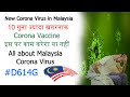 Malaysia Corona virus D614G. What is mutation? New corona Virus