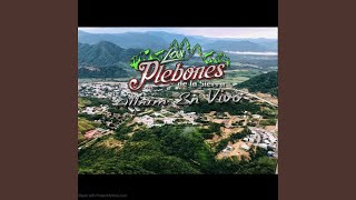 Video thumbnail of "Los Plebones De La Sierra - Aguila En Encierro (En vivo)"