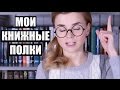 КНИЖНЫЕ ПОЛКИ #3: НАУЧПОП