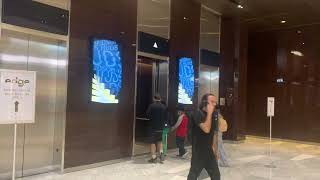 Northeast TKP Traction Elevators @ The Shops At Hudson Yards-New York City