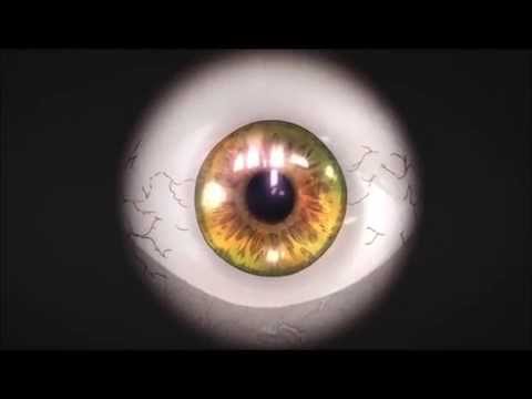 kiseijuu OST interior de shinichi (migi theme)