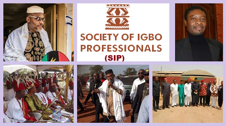 IGBO PROFFESSIONALS AT W@R WITH NNAMDI KANU/IP0B, SEE THEIR PLANS TO ÇŔUŚH IPOB