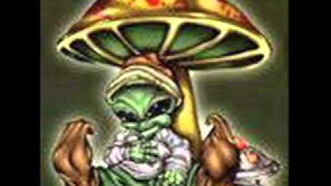 Mind Evolution - Primitive Mind