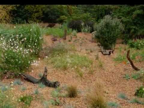 The Gravel Garden - YouTube