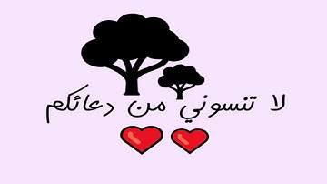 ماتيسر من سورة النّور مصحف هاشم هيبة mashaf hashim hiba