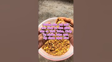 Mồi câu cá Trôi, cá Trắm, cá Chép tự nhiên hiệu quả✅Câu cá #moclure