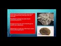 Social Science । History। Timeline and sources of history and India that is Bharat