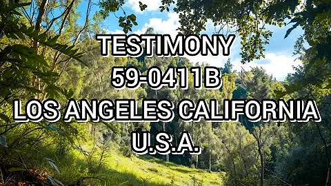 TESTIMONY (59-0411B)