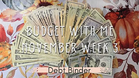 Budget With Me for November Week 3 | Debt Binder | Cash Tips | Cash Budget | Michelle Marie Budgets