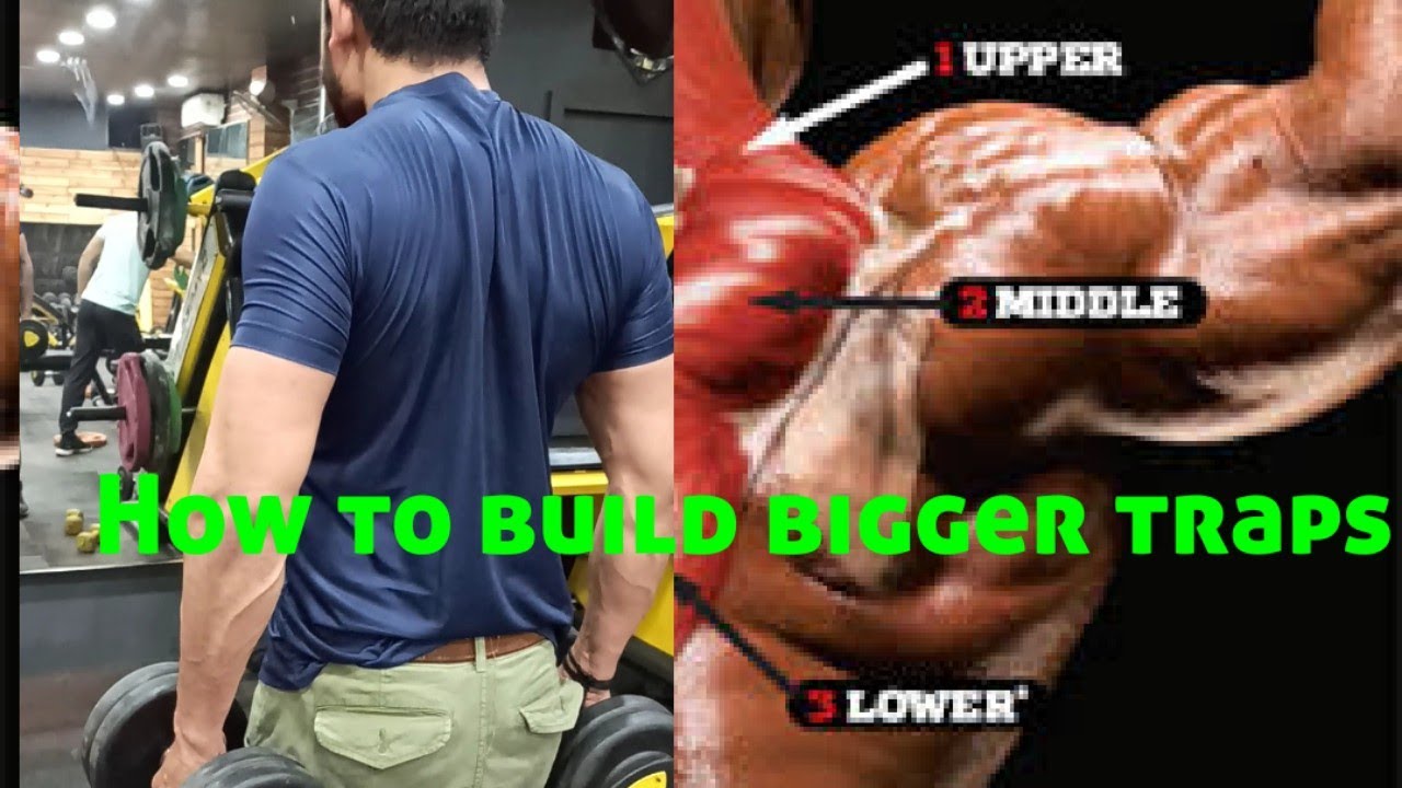 How to Build Bigger TRAPSWhat exercise build trapstraps kaise