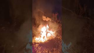 Majavan pyyntiä kevät 2026 #beaver #hunting #bowhunting #majava #metsästys #kainuu #finland #nature