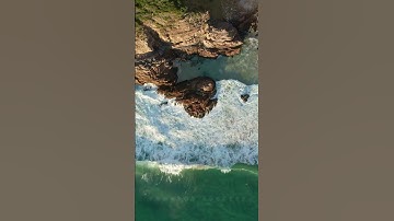 Dare to Fail: Your Path to Success | #shorts