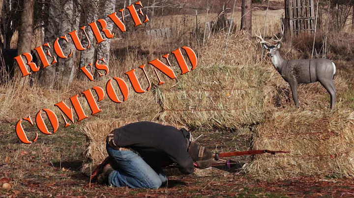 Can a RECURVE Bow beat a COMPOUND Bow?