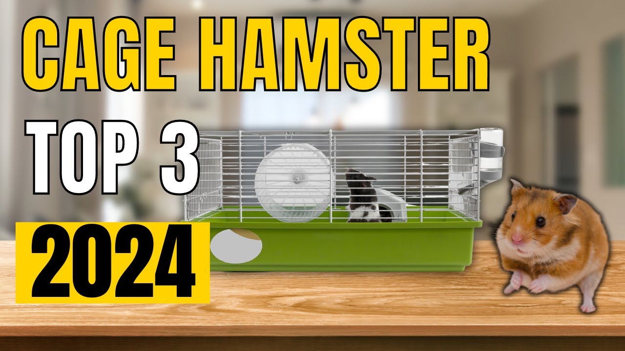 TOP 3 : Meilleure Cage Hamster 2024