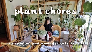 PLANT CHORES | rearranging the plant room &amp; bringing more plants outside