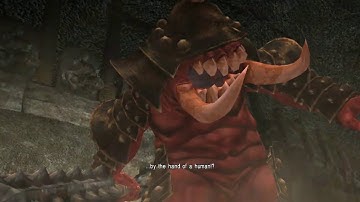 Onimusha: Warlords - Osric (No Damage)