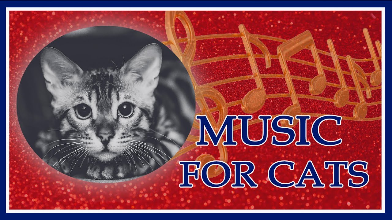 Music for Cats😻😻 This video will give rest and calm to your cats YouTube