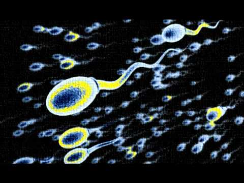 Sperma ist ekelhaft