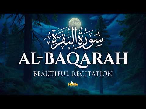 Surah Al-Baqarah (سورة البقرة) | Relaxing Quran Recitation for Inner Peace | Alaa Yasser
