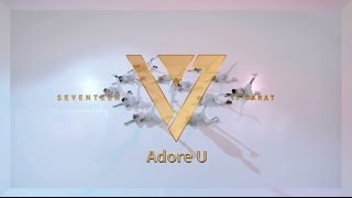 SEVENTEEN – Adore U  (華納official HD高畫質官方中字版)